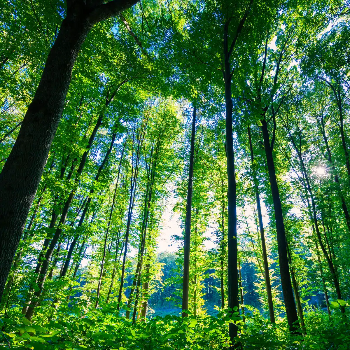 Transformationspaket Freiheit