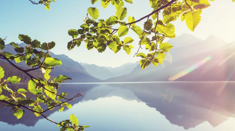 Intensivpaket: Muster & Freiheit