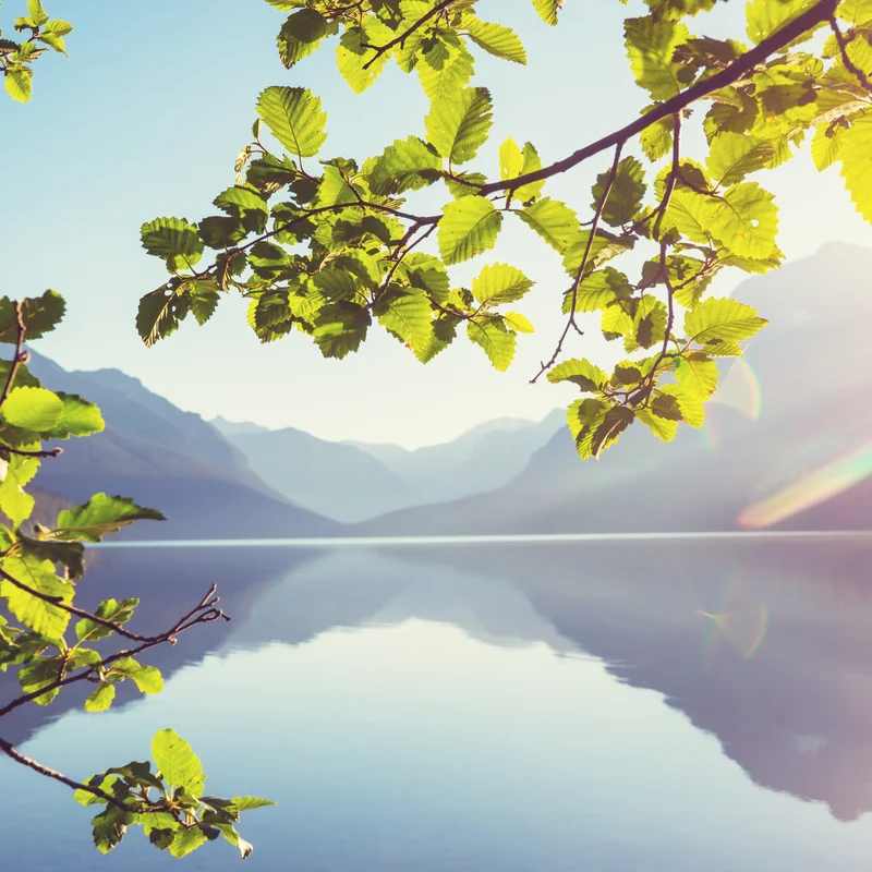 Friedvoller Meditationsort in der Natur